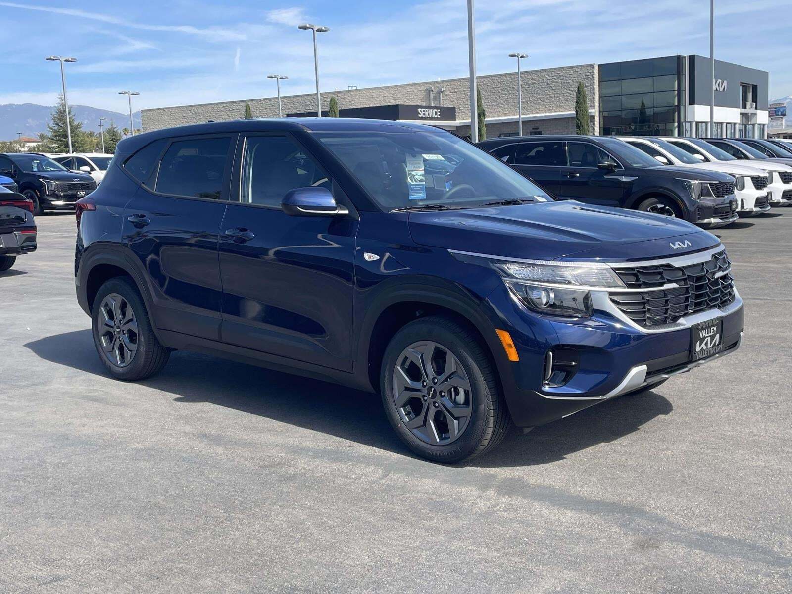 Blue Kia (Jasmin)